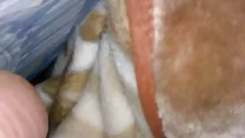 Anya Zenkova geölt,  ...