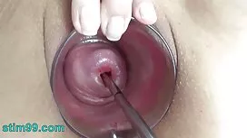 Hahal ist porno free ...