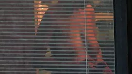 Eine Menge sex video ...